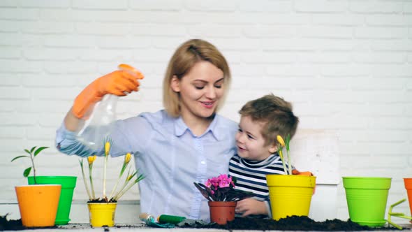 Concept of Seedlings. Mother and Son Have Fun with Watering the Summer Flowers.