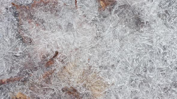 Cracked Ice Texture with Frozen Autumn Leaves Closeup Slow Motion