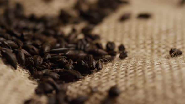 Rotating shot of barley and other beer brewing ingredients