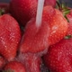 Fresh strawberries are washed under running water. Organic ripe strawberry. Close up - VideoHive Item for Sale
