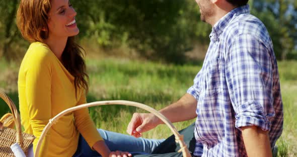 Romantic couple enjoying in olive farm 4k