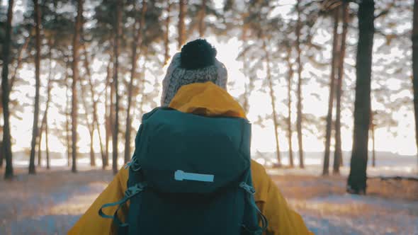 Rear View of a Woman Travels Through an Winter Pine Forest with a Backpack