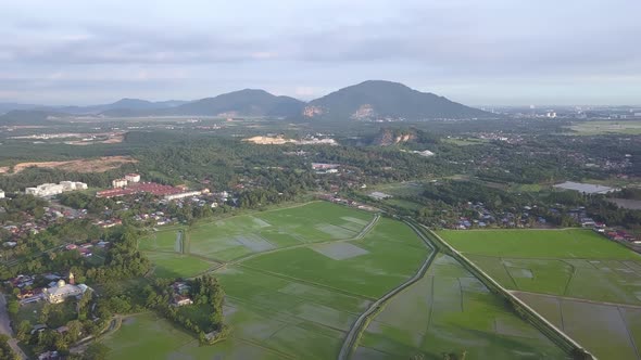 Fly toward Bukit Mertajam paddy field