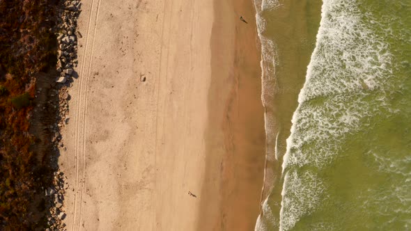 Aerial View of the Coastline Beach in San Diego in California By the Pacific