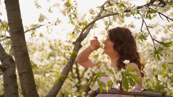 Attractive Woman Near Flowering Tree in Spring Park