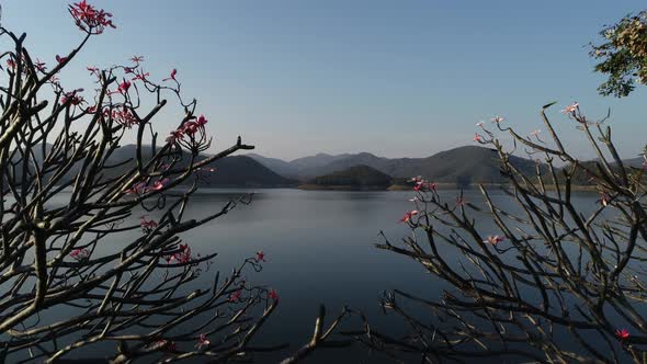 Drone movement on over a lake in Asia mountains with flowering trees in the foreground