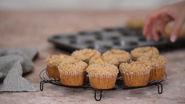 Fresh Homemade Delicious Pumpkin Muffins