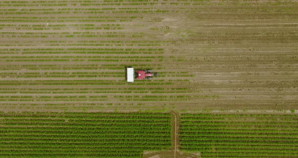Tractor spreading fertilizer over young corn crops, Drone footage.