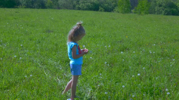 Little Girl in the Meadow with Flowers.