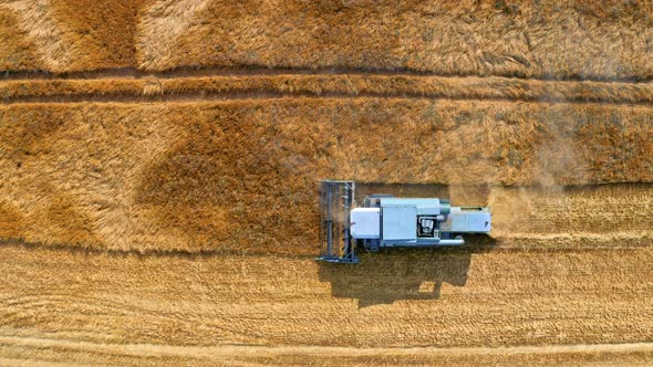 Flying above blue harvester working on yellow field, Poland