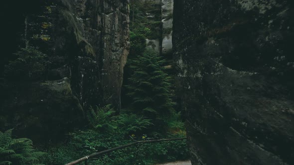 Adršpach-Teplice Rocks national park filmed from drone. Green forest with rocks like background