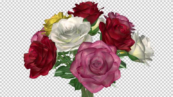 Rose Bouquet - Colorful Flowers - Spinning Loop - MS