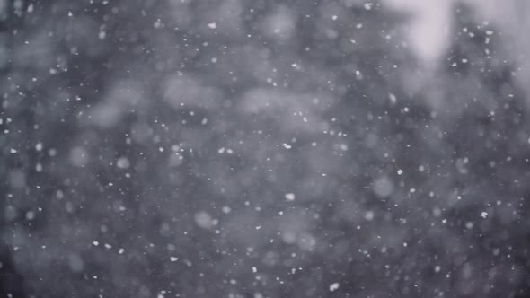 Snowflakes Against Snow Covered Trees in Mountains