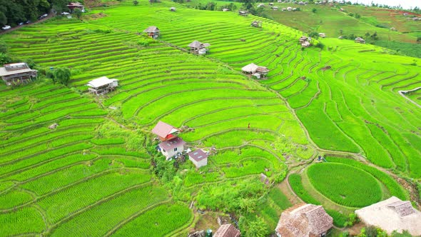 Aerial drone footage of rice terraces and farmer village at Pa pong piang