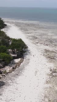 Vertical Video of Low Tide in the Ocean Near the Coast of Zanzibar Tanzania