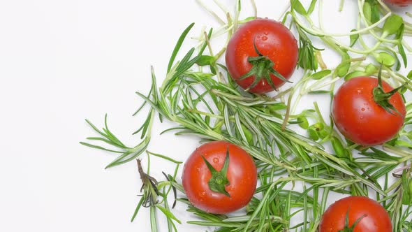 Beautiful Natural Vegetables Tomatoes on a Branch on Green Wild Garlic