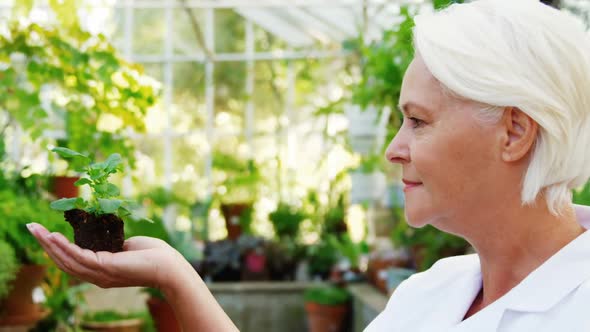 Female scientist holding pot plant