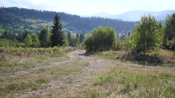 Ukraine Karpaty Mountain Village Against the Backdrop of the Deciduous and Coniferous Forests and