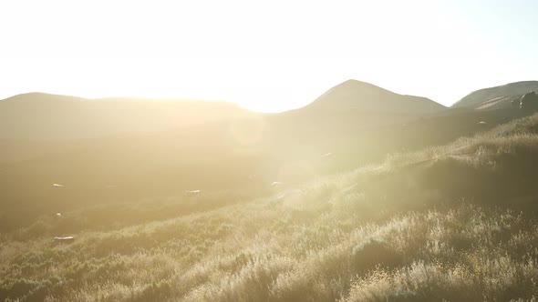 Sunset Over the Valley Fields