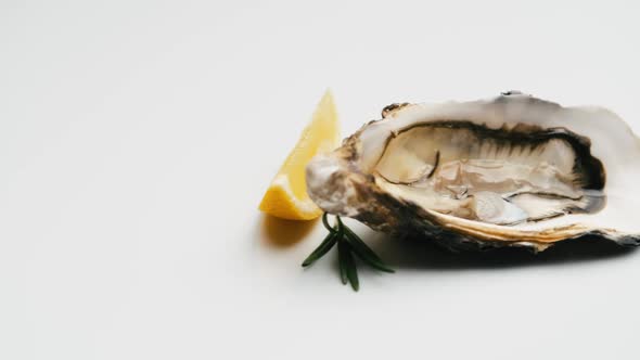Oyster with Lemon Isolated on White Background