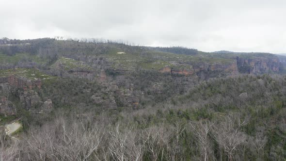 Drone aerial footage of a large forest recovering from severe bushfire in Australia