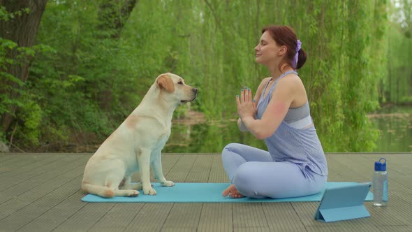 Woman Doing Yoga Exercise and Meditation Practice with Her Dog Labrador Retriever Outdoors