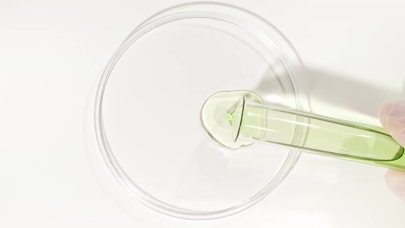 Transparent Green Fluid Oil From a Test Tube is Poured Into Petri Dishes alt