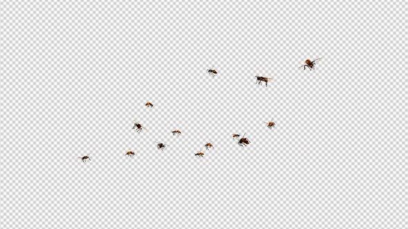 Swarm Bees - Flying Over Screen - 4K Loop alt