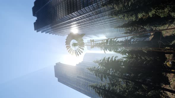 Forest Hillside and City Landscape alt