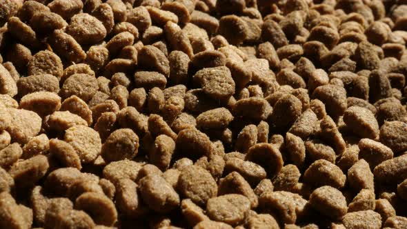 Pile of cat or dog pellet meal close-up slow tilt 4K 2160p 30fps UltraHD footage - Protein rich  pet