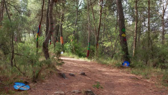 Walking through dirt trail surrounded by dense green forest and tree trunks painted in different col