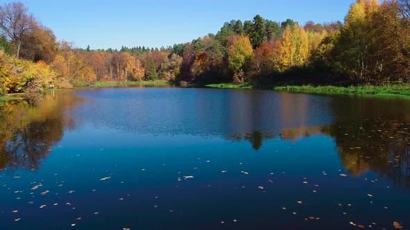 Colorful Autumn Forest Wood on the Lake