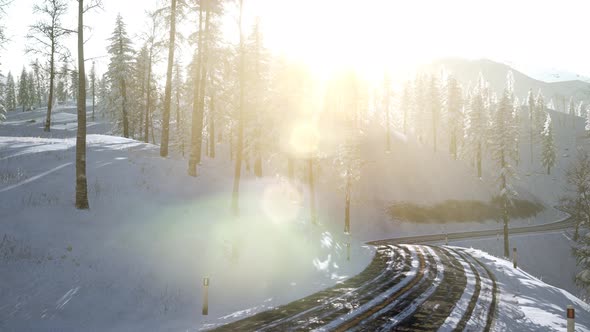 Flight Above Winter Forest alt