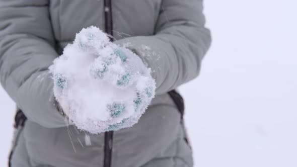 Hand in Gloves with Snow Ball