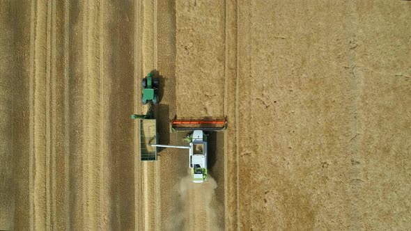 Combine Harvester Working During A Wheat Harvest
