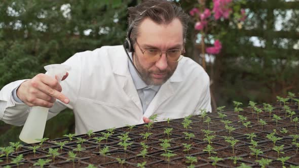 Biologist in White Coat and Glasses Sprays Plant Seedlings with Water From Spray Gun