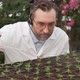 Biologist in White Coat and Glasses Sprays Plant Seedlings with Water From Spray Gun - VideoHive Item for Sale
