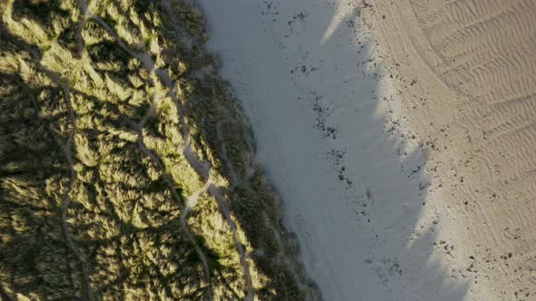 Top-down aerial view over marram grass anchored dunes and Irish beach