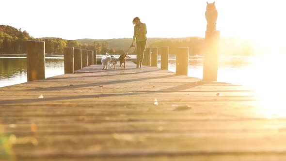 Woman walking the dogs on the dock at sunset