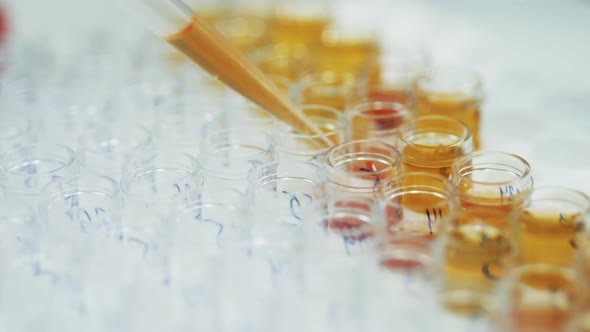 Covid-19 Test, Covid-19 Vaccination Concept. Laboratory Worker Fills Glass Tubes with Liquid.