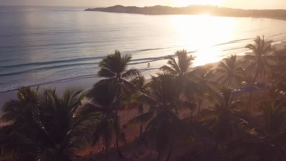 4k 24fps Sunrise In The In The Caribbean With Shoot Paradise With Palms Tree 1