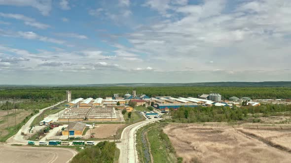 Aerial Drone View of Large Animal Pig Farm on the Natural Background. Flying Up