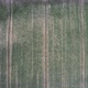 Aerial Drone Top Down View of Freshly Sown Green Field with Tractor Tire Tracks at Sunset - VideoHive Item for Sale