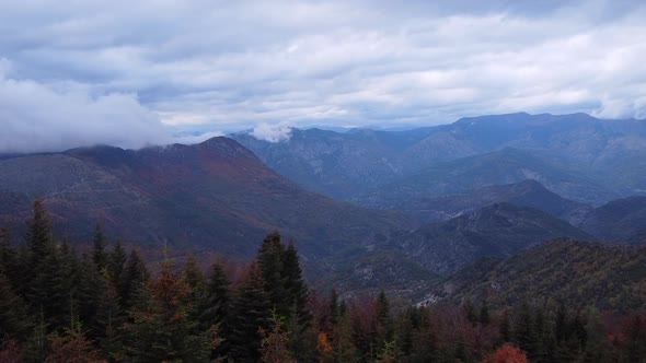 Aerial view of mountains and colorful trees