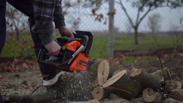 Lumberjack Worker Cutting Tree and Wooden Shavings Flying Around in Slow Motion