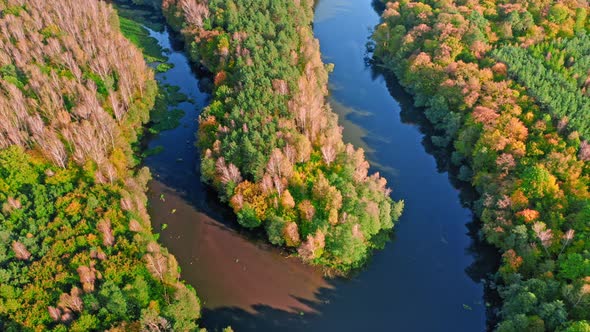 Winding river in autumn at sunset, aerial view of Poland