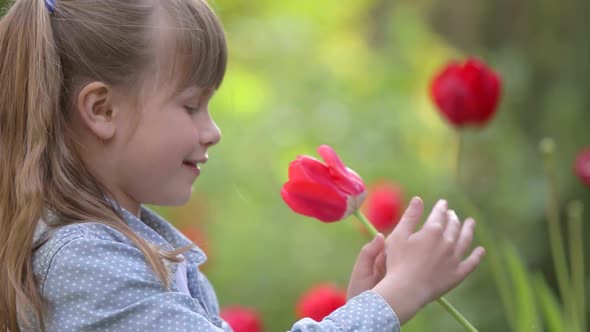 Young pretty child girl playing with a red tulip flower in summer outdoors.