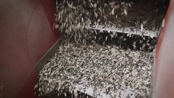 The Machine Separates the Husk From the Sunflower Kernels