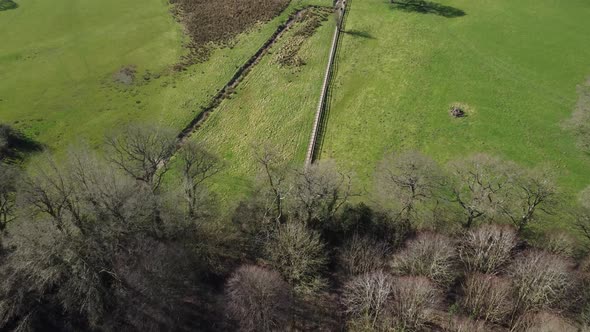 Boardwalk Across English Grass Meadow, Aerial, Overhead, Bird's Eye View