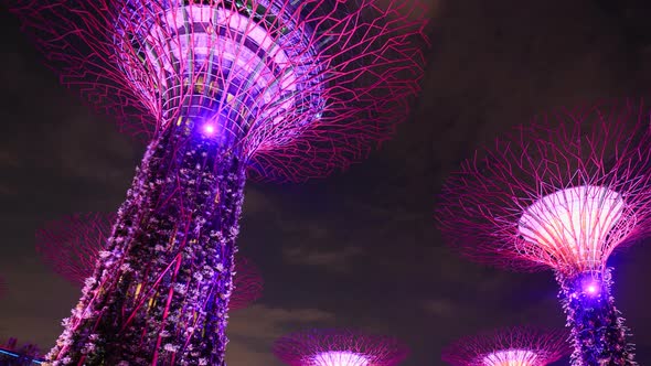 light show of gardens by the bay at night, Singapore